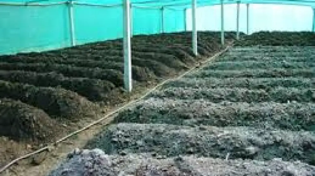 How to Start Vermicompost Fertilizer Production Business - Plan Guide