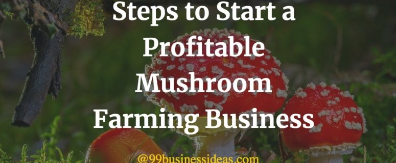 how to start mushroom farming business