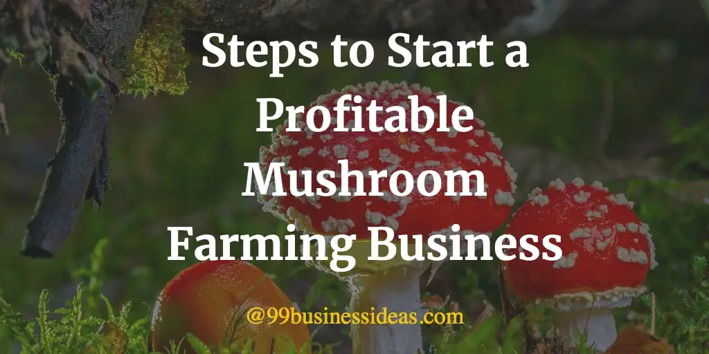 mushroom farming business plan south africa