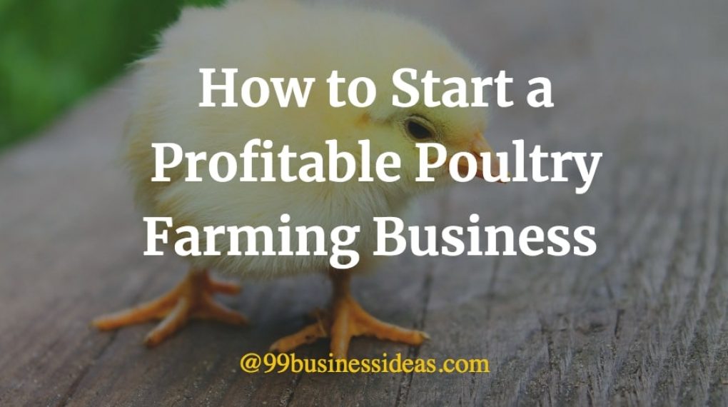 How to start a poultry farming business