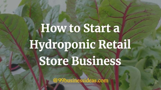 how to start a hydroponic retail store business