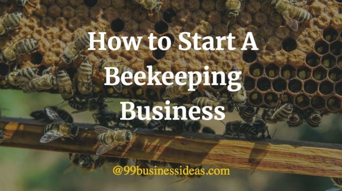 how to start a beekeeping business