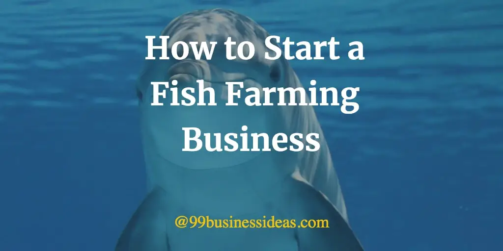 how to start fish farming business