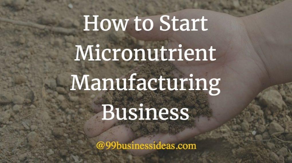 how to start micronutrient manufacturing business