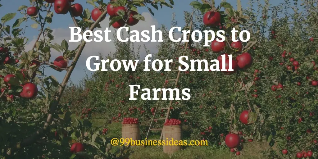 best cash crops for small farms