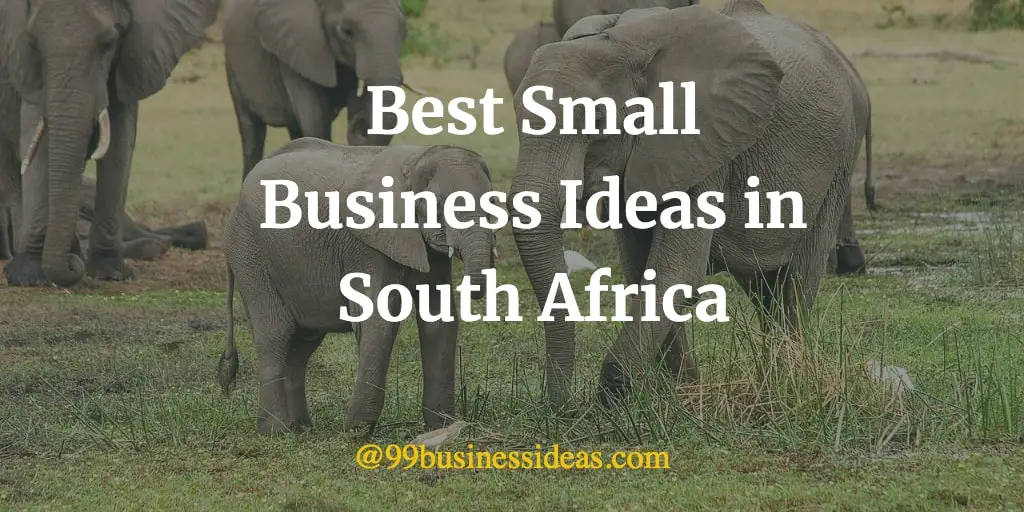Best 20 Small Business Ideas in South Africa for 2024