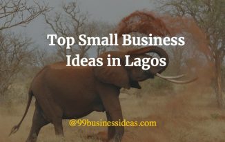 business ideas in lagos