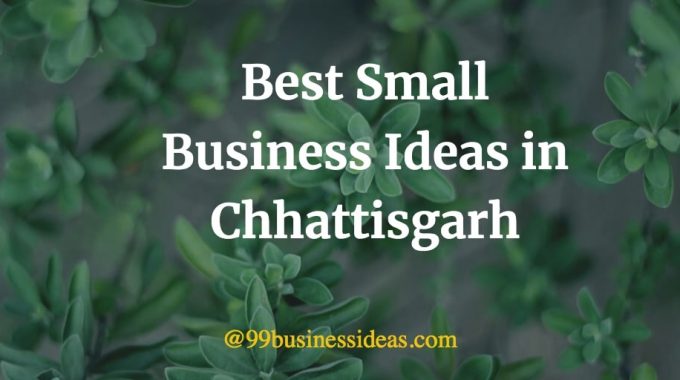 best business ideas in Chhattisgarh