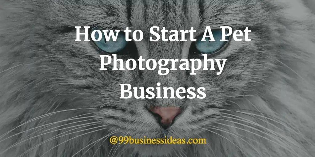 how to start pet photography business