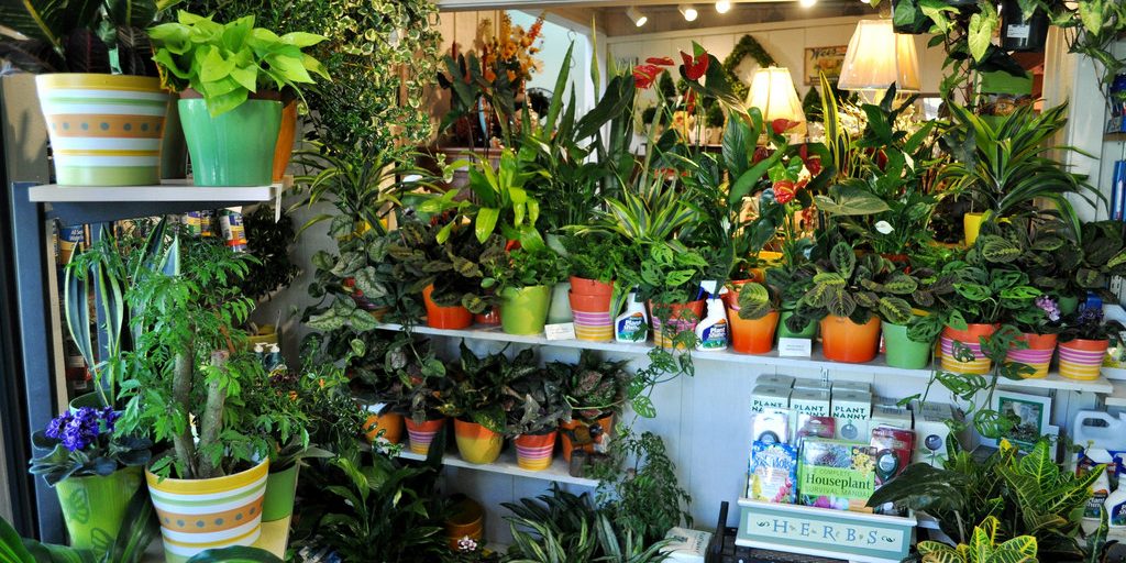 plant nursery business plan