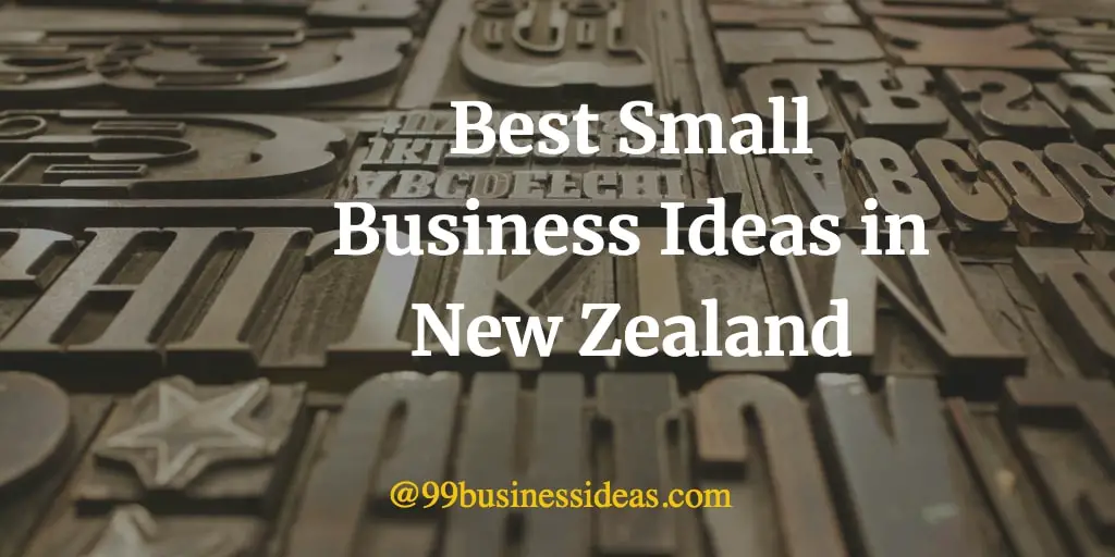 best business ideas in new zealand
