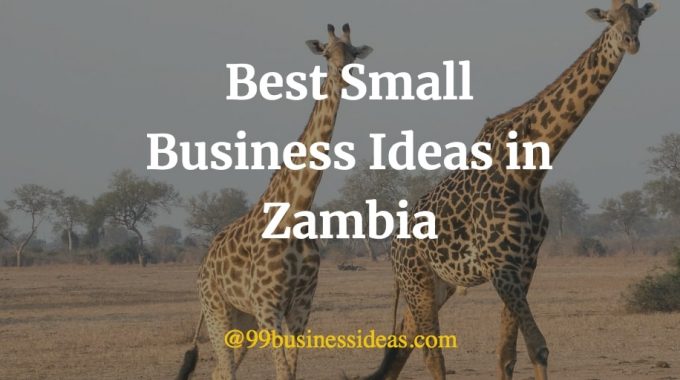 best business ideas in Zambia