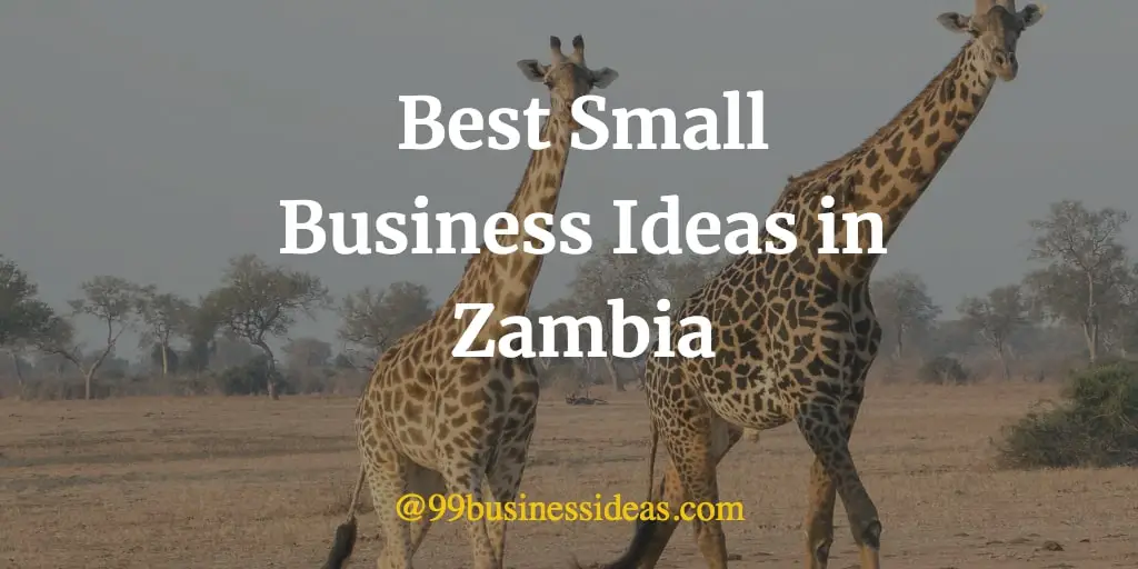 small business plan in zambia