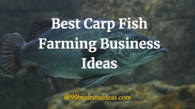best carp fish business ideas