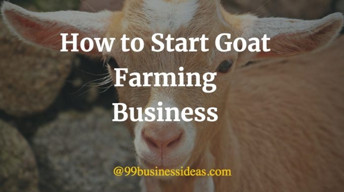 how to start goat farming business