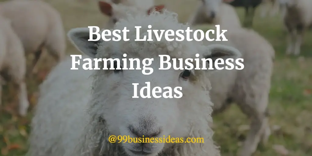 Best 27 Livestock Farming Business Ideas in 2023 with Good Profit Best 27 Livestock Farming Business Ideas in 2023 with Good Profit