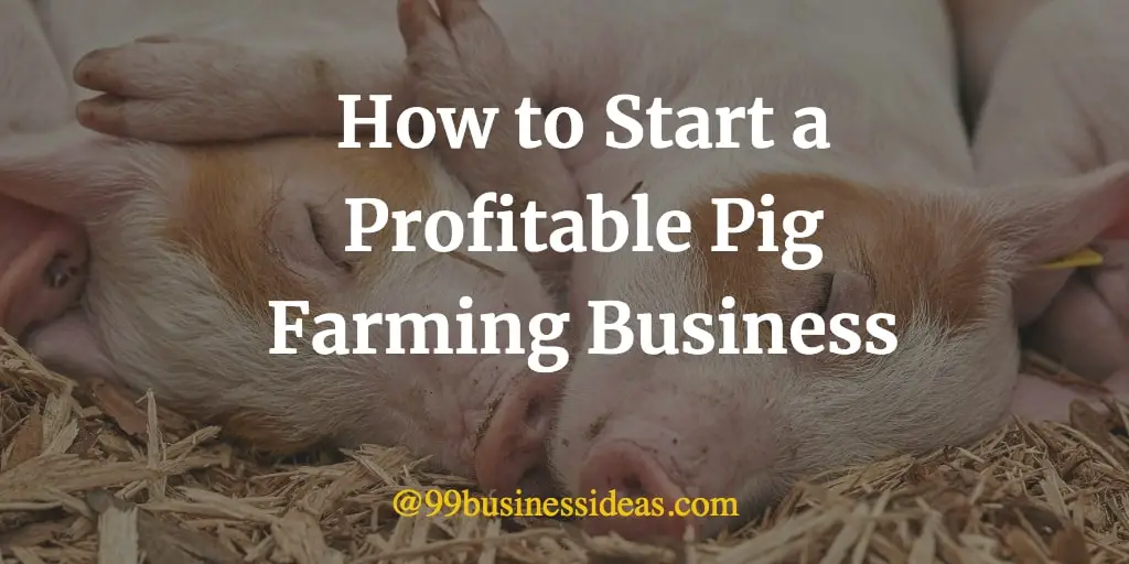 piggery startup business plan