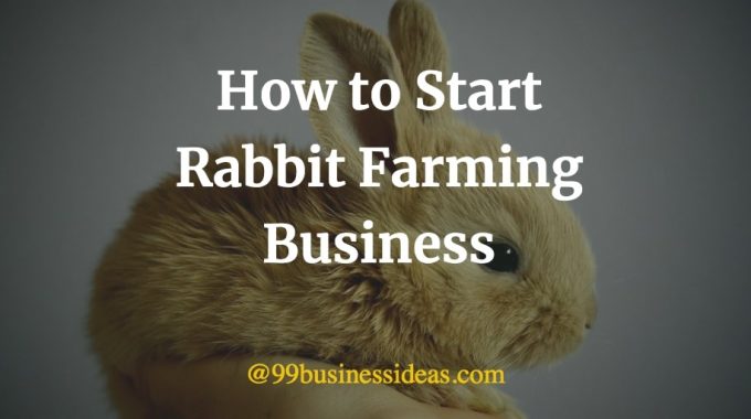 how to start a rabbit farm - complete guide