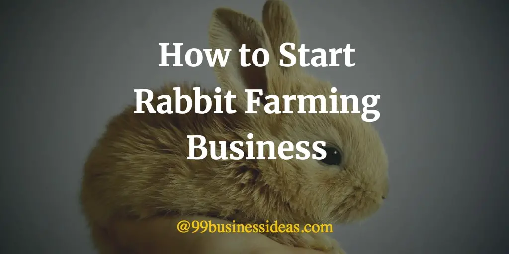 rabbit farming business plan doc