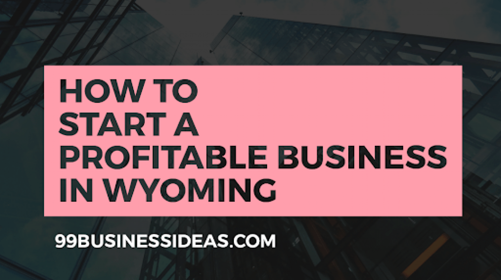 business ideas in Wyoming