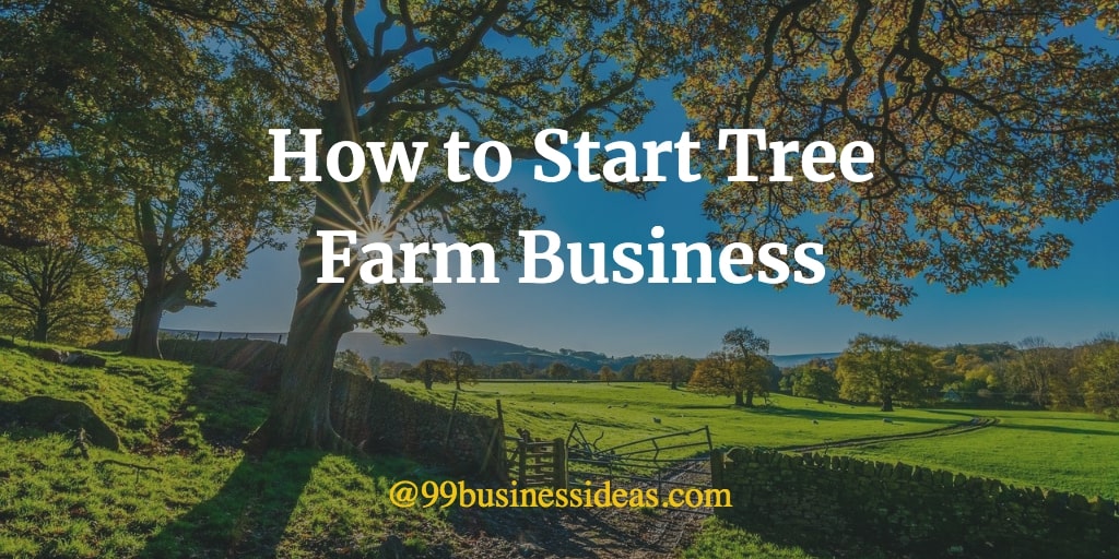 How Start A Tree Farm at Tyler Rodriquez blog