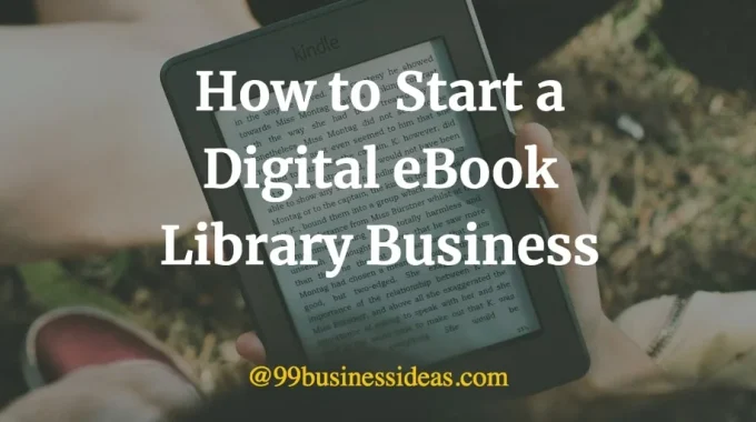 digital ebook library business