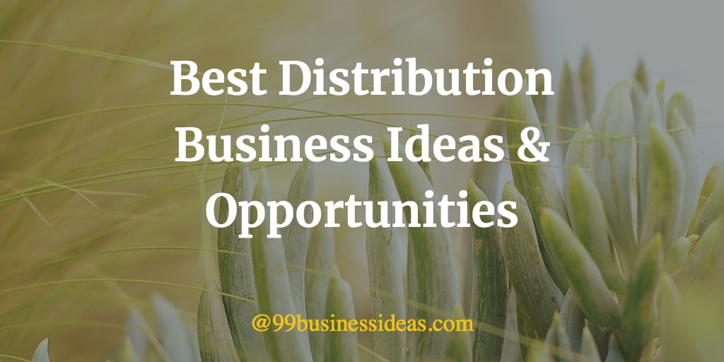 Best 40 Distribution Business Ideas in 2024 with Low Investment