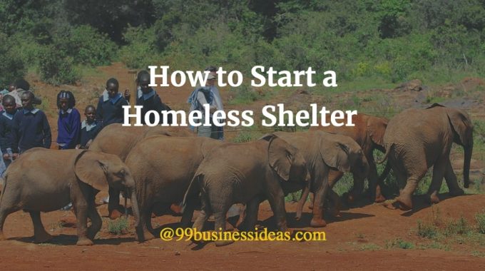 how to start a government shelter with government funds