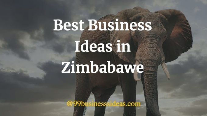featured image for the article on the best best business ideas in zimbabwe