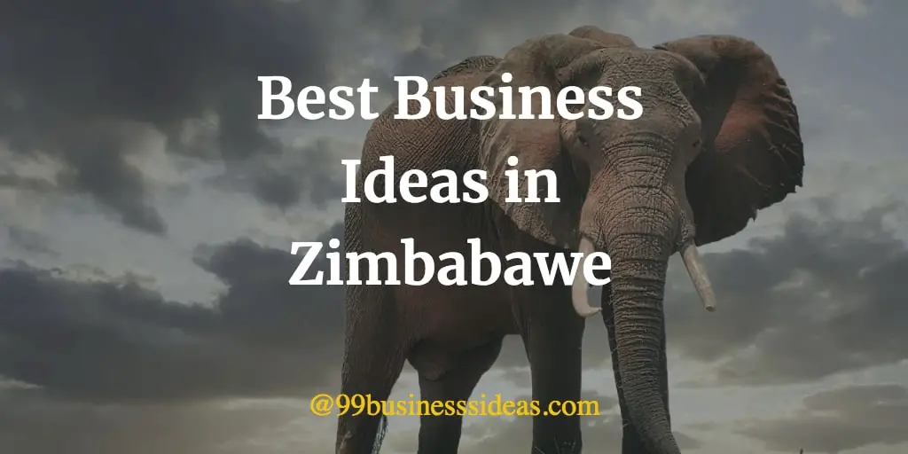 Top 10 Small Business Ideas & Opportunities in Zimbabwe