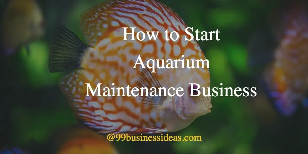 business plan for aquarium maintenance
