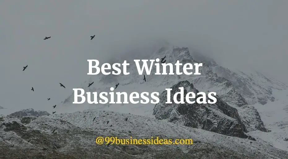 best winter business ideas