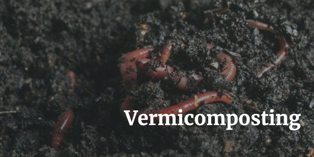 vermicompost business