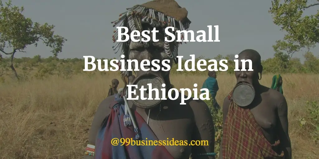 business plan ideas in ethiopia