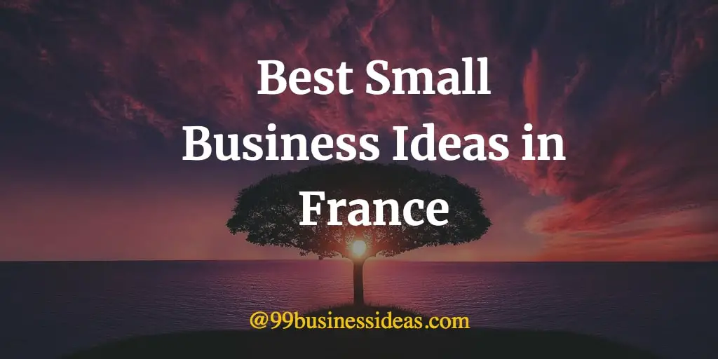best business ideas in France