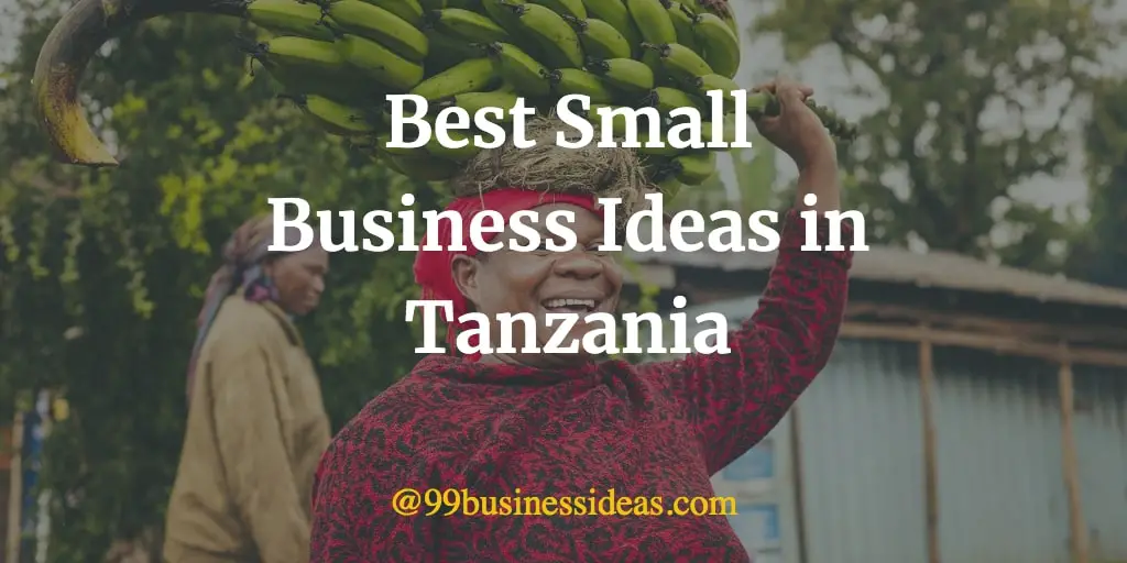 small business plans in tanzania