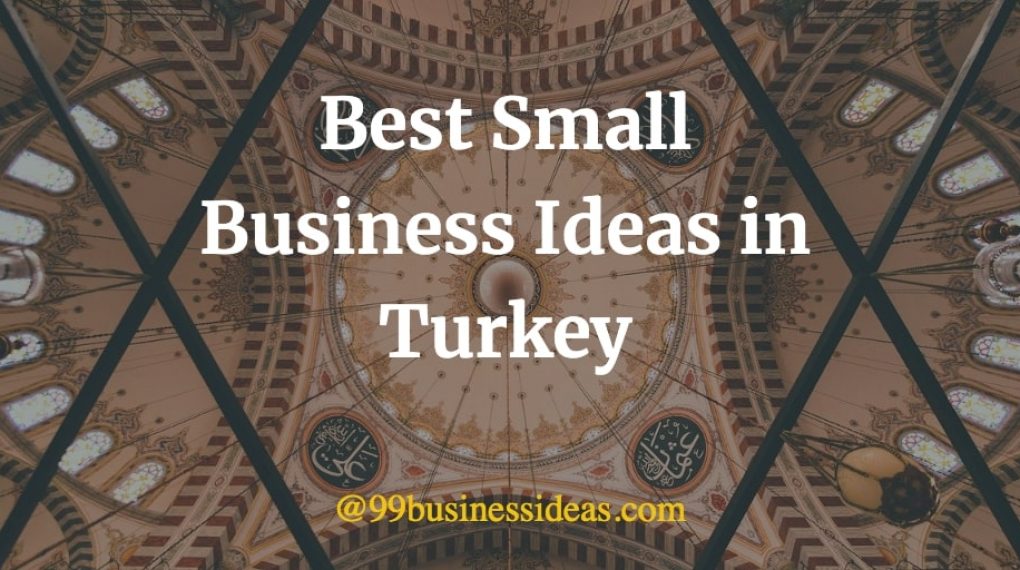 best business ideas in turkey
