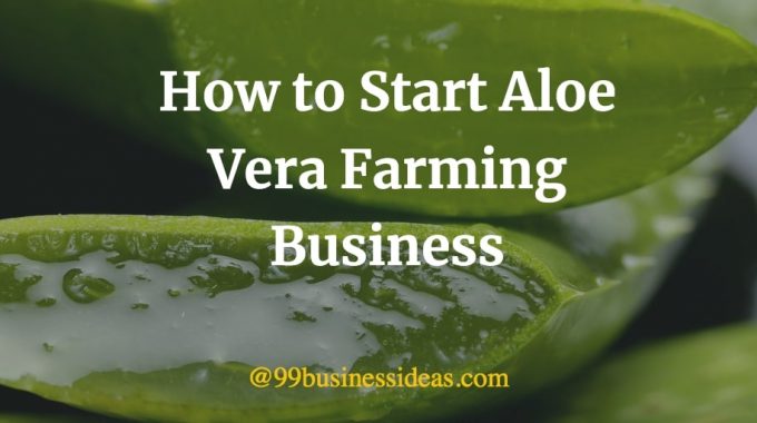 how to start aloe vera farming business