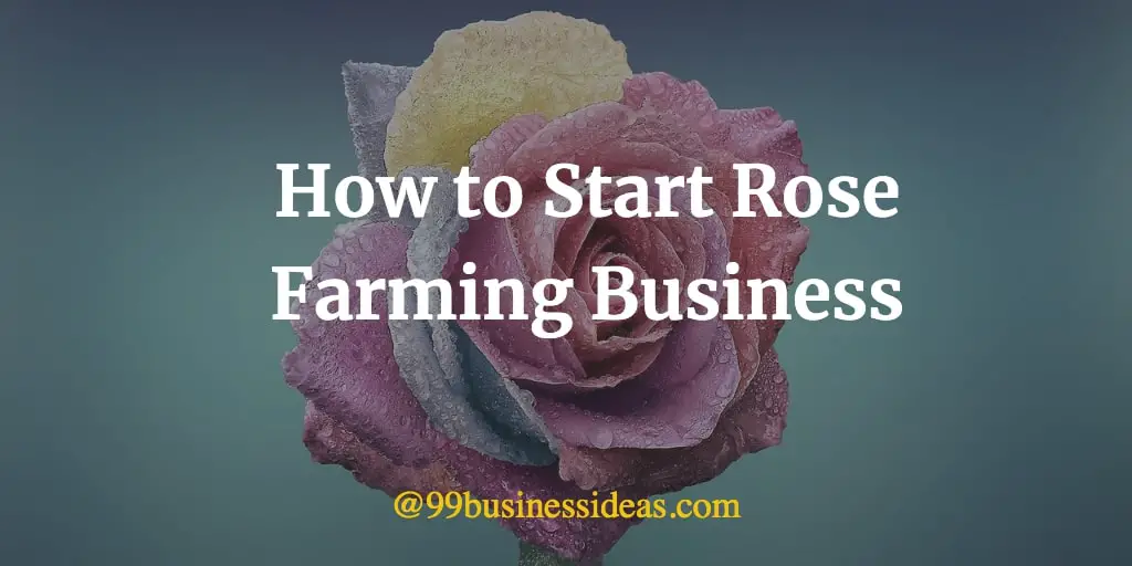 business plan for rose farming