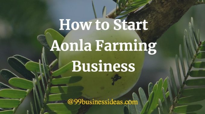 how to start aonla farming business