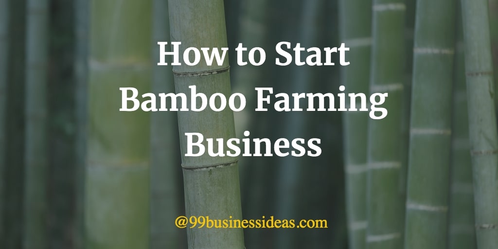 Bamboo farm profit per acre image