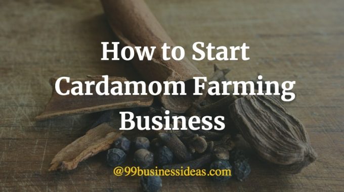 how to start cardamom farming business