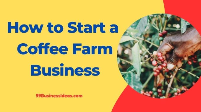how to start a coffee farm business