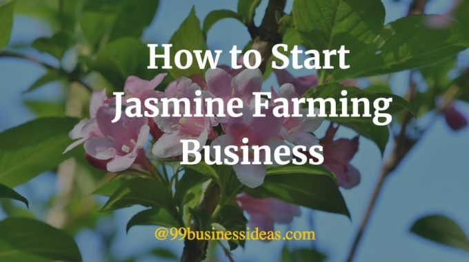 how to start jasmine farming business