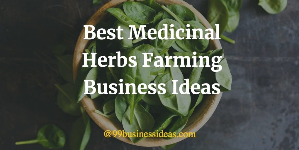 best medicinal herbs farming business ideas
