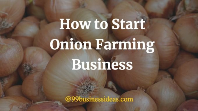 how to start onion farming business