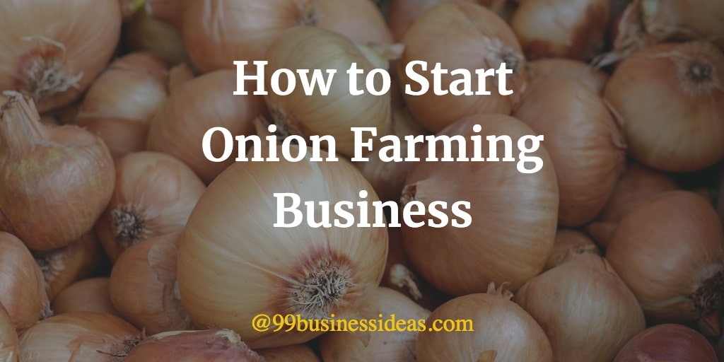 How To Start Onion Farming Business in 7 Steps