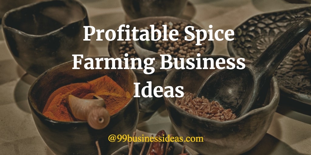 Best 20 Profitable Spice Farming Business Ideas with High Profit