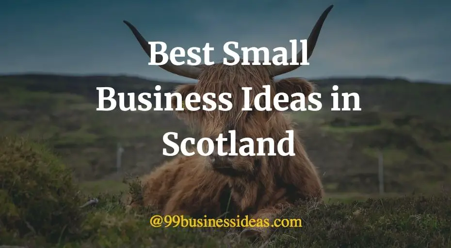 best small business ideas in Scotland