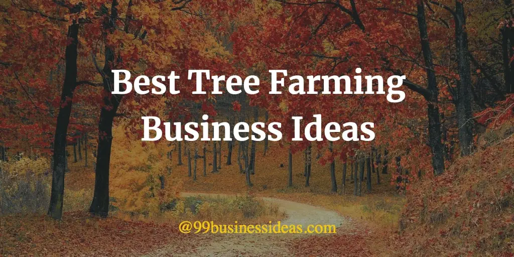 Best 25 Profitable Tree Farming Business Ideas 99BusinessIdeas